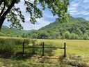 107 Twisted Birch Drive 21 sold home in Hendersonville, SC