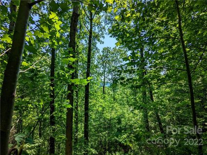 5 Deer Creek Trail