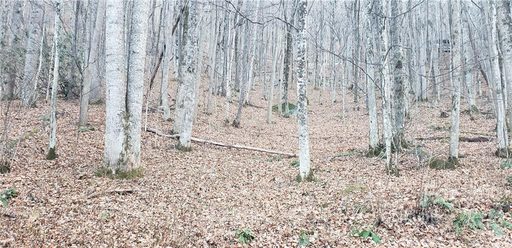 00 The High Road sold lot in Walker-In-The-Hills, Waynesville, NC