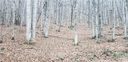 00 The High Road sold home in Waynesville, SC