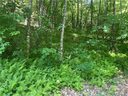 0000 Trillium Lane 16 sold home in Rosman, SC