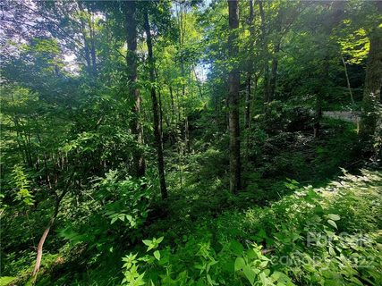 00 Catawba Ridge 18