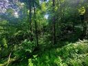00 Catawba Ridge 18 sold home in Maggie Valley, SC