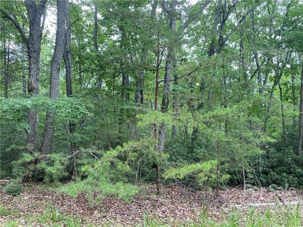 Lot 43 Flynn Court