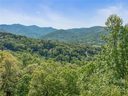 60 99999 High Bluff Drive sold home in Weaverville, SC