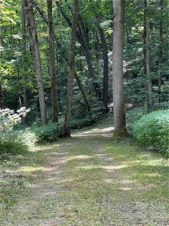 779 Apple Creek Road 216 & 217