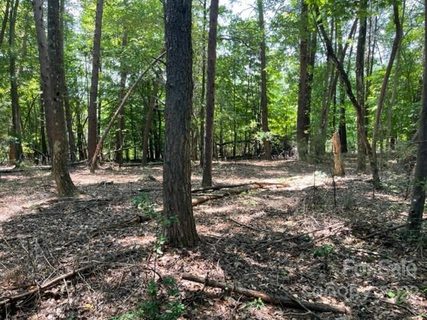 1029 Glade Spring Court 184