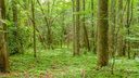 99999 Tbd Ridge Top Road sold home in Pisgah Forest, SC