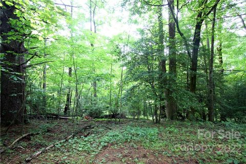 Lots 319b 319a Severy Lane sold lot in Happy Acres, Brevard, NC
