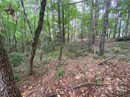 123 Annies Circle Lot #15 sold lot in Homestead Acres, Boiling Springs, NC