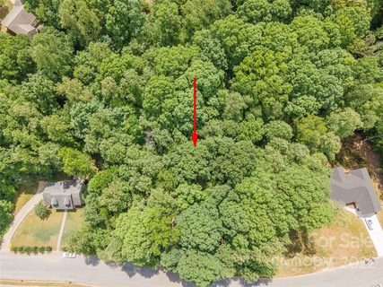 163 Shenandoah Loop 91