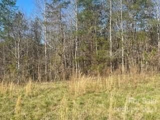 00 Hope Drive 11 sold home in Pleasant View, Rutherfordton, NC