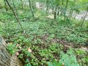 0 Granny Shepherd Road Section 2/Lot 15 sold home in Mars Hill, SC