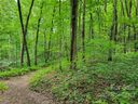 Lot 42 Autumn Sky Drive sold home in Hendersonville, SC