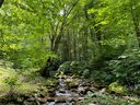 1455 Reservation Road 86D sold home in Maggie Valley, SC