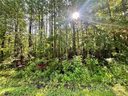 0 Dills Road sold home in Rutherfordton, SC