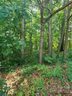 12534 Preservation Pointe Drive sold home in Charlotte, SC