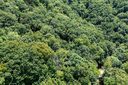 Lot 229 N Poplar Court sold home in Lake Lure, SC