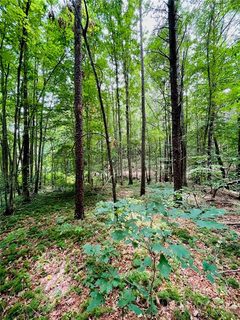 00 Twin Creek Drive 61 sold land listing in Twin Creek Estates, Troutman, NC