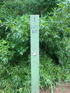 195 Ashmore Circle 80
