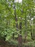 0 Woodlawn Lane Lot 8 Blk Q Sec 2 sold home in Indian Trail, SC
