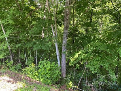 Lot 7 Treehouse Road sold home in Coppermine Ridge, Whittier, NC