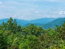 00 Grandiflora Path 5C sold home in Asheville, SC