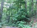 99999 Carriage Drive 12 sold home in Fairview, SC