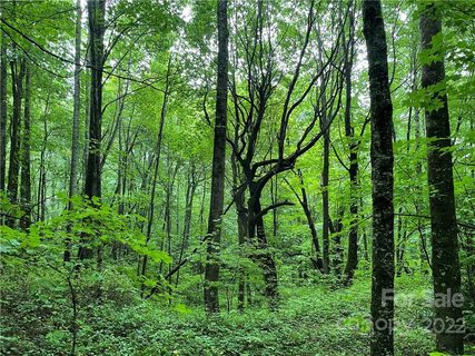 0 Woodys Drive 4 sold lot in Woodys Mountain Estates, Hendersonville, NC