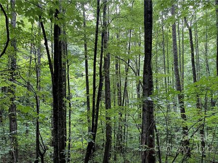 0 Woodys Drive 5 sold lot in Woodys Mountain Estates, Hendersonville, NC
