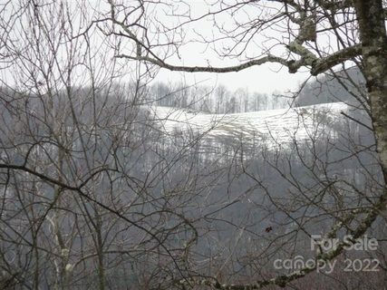 10 Acres Sparkling Springs Road sold land listing in Crystal Falls, Fairview, NC