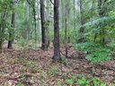 409 Hopewell Church Road sold home in Catawba, SC