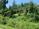 99999 New Stock Road sold home in Weaverville, SC