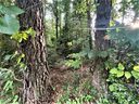 13 John Warren Drive sold home in Forest City, SC