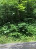 000 Nc Hwy 197 Highway 5 sold home in Burnsville, SC