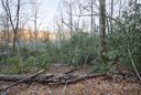 44 Acre Sparkling Lake Drive sold home in Hendersonville, SC
