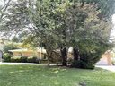 223 Balsam Road sold home in Hendersonville, SC