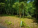 Lot 55 Twinbrook Lane sold home in Maggie Valley, SC