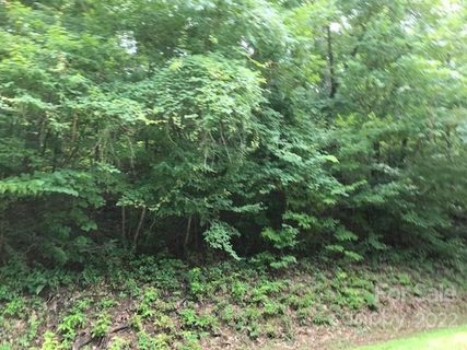 Lot 30 Green River Cove Road sold home in White Water Mountain, Saluda, NC