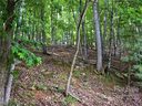 0000 Cedar Drive Lot 273 sold home in Mills River, SC