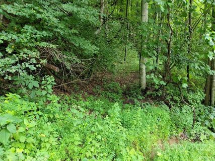 0 Melton Branch Road 3 sold lot in Shoot Out Mountain, Bakersville, NC