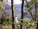 00 Harvest Drive 17 & 18 sold home in Maggie Valley, SC