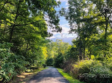 99999 Dogwood Forest Road