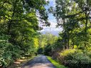 99999 Dogwood Forest Road sold home in Fairview, SC