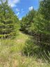 0 Hunters Trace Trace 109 sold home in Rutherfordton, SC
