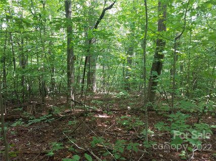 0000 Little Falls Drive 612