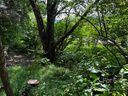 451 Onteora Boulevard sold home in Asheville, SC