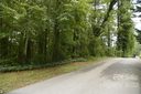 00 Wells Avenue sold home in Hendersonville, SC