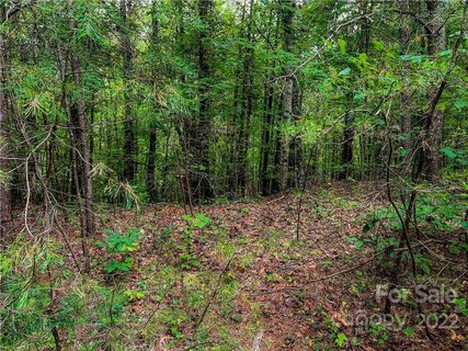 0000 Mcowenben Pass sold home in Twelve Mile Post, Lake Lure, NC
