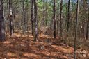 0 Bitterroot Circle sold home in Rutherfordton, SC